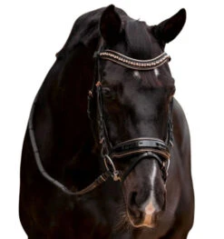 Halter Ego Aurelia Rose Gold Snaffle Bridle 10 Halter Ego Aurelia Rose Gold Snaffle Bridle -Weaver Leather Store aurelia rose gold snaffle bk.pt rsgd front halter ego 39370.1682705586