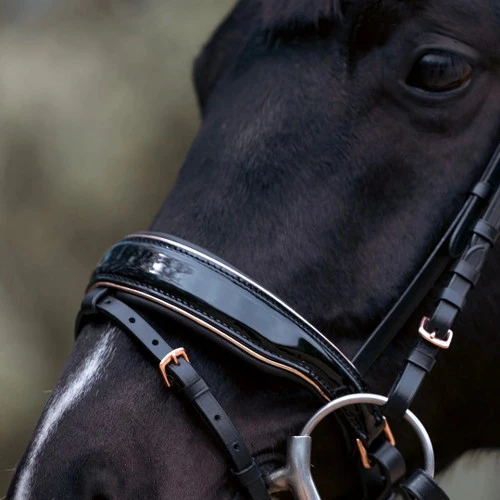 Halter Ego Aurelia Rose Gold Snaffle Bridle 5 Halter Ego Aurelia Rose Gold Snaffle Bridle - Image 3