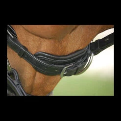 Dy'on Large Crank Noseband Snaffle Bridle 7 Dy'on Large Crank Noseband Snaffle Bridle -Weaver Leather Store b152chincloseup 25897 37669.1617485047