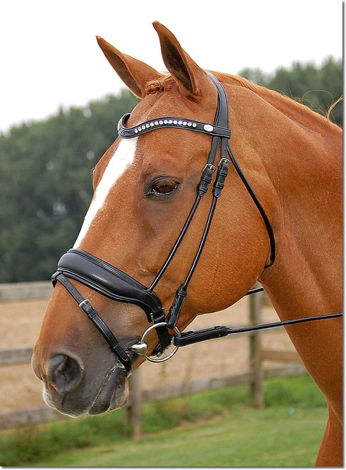 Dy'on Large Crank Noseband Snaffle Bridle 3 Dy'on Large Crank Noseband Snaffle Bridle