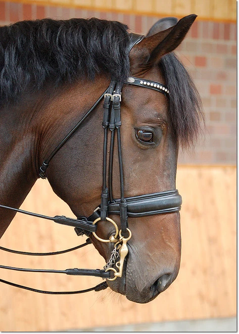 Dy'on Large Crank Double Bridle 4 Dy'on Large Crank Double Bridle - Image 2