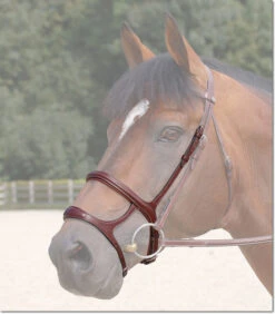 Dy'on Double Noseband