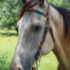 Circle Y Vibrant Infinity Beaded Brow Headstall 1 Circle Y Vibrant Infinity Beaded Brow Headstall -Weaver Leather Store bead inifinity color brow hs multi lifestyle X0223 4069 circle y 68489.1666373225