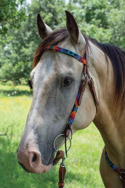 Circle Y Vibrant Infinity Beaded Brow Headstall 3 Circle Y Vibrant Infinity Beaded Brow Headstall