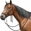 Tory Leather Bitless Poly Bridle With Reins -Weaver Leather Store bitless bridle 1 34998 30178.1527298889