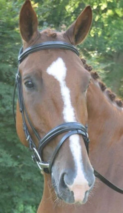 Black Oak Juniper Snaffle Bridle 9 Black Oak Juniper Snaffle Bridle -Weaver Leather Store black oak juniper bridle front 37642.1541199613