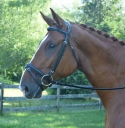 Black Oak Juniper Snaffle Bridle 8 Black Oak Juniper Snaffle Bridle -Weaver Leather Store black oak juniper bridle side 03583.1541199609