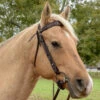 Circle Y Bluestem QC Brow Headstall -Weaver Leather Store bluestem qc brow headstall palomino 1040 10 ST circle y 67625.1691199812