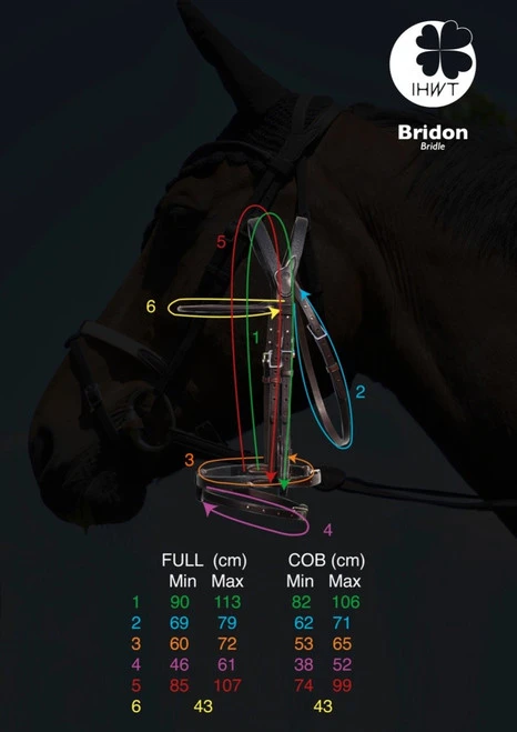 In Horse We Trust Bridle Evolution 3 In Horse We Trust Bridle Evolution