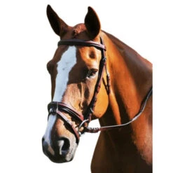 Red Barn Burghley Flash Bridle