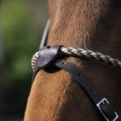 In Horse We Trust Coated Rope Noseband -Weaver Leather Store coated rope noseband havana flash horse ihwt 79428.1658786888