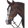 Collegiate Monocrown Fancy Stitch Raised Bridle -Weaver Leather Store collegiate fs bridle brown 811667 weatherbeeta 45091.1674516760