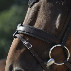 In Horse We Trust Contact Noseband With Flash 7 In Horse We Trust Contact Noseband With Flash -Weaver Leather Store contact noseband flash havana horse IHWT 85753.1658870509