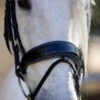 Halter Ego Copenhagen Navy Patent Snaffle Bridle 1 Halter Ego Copenhagen Navy Patent Snaffle Bridle -Weaver Leather Store copenhagen flat snaffle nv.pt navy noseband halter ego 13093.1682618523
