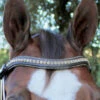 Halter Ego Crystal Jumper Bridle -Weaver Leather Store crystal jumper bridle browband halter ego 53858.1690040353