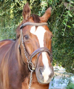 Halter Ego Crystal Jumper Bridle -Weaver Leather Store crystal jumper bridle front halter ego 85107.1690040348