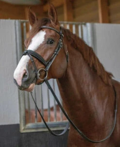 PÉNÉLOPE Pénélope Daily Snaffle Bridle -Weaver Leather Store daily snaffle black front reins 301 602 218 penelope 73321.1688760930