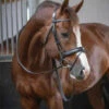 PÉNÉLOPE Pénélope Daily Snaffle Bridle -Weaver Leather Store daily snaffle black side 301 602 218 penelope 89083.1688761034