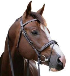 PÉNÉLOPE Pénélope Daily Snaffle Bridle -Weaver Leather Store daily snaffle havana side white 301 602 318 penelope 17043.1688760922