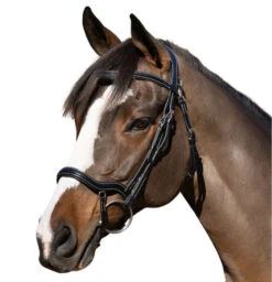 Halter Ego Deauville Anatomical Jumper Bridle -Weaver Leather Store deauville jumper bridle black halter ego 16705.1687998614