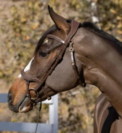 Halter Ego Deauville Anatomical Jumper Bridle -Weaver Leather Store deauville jumper bridle brown side halter ego 37092.1687998625