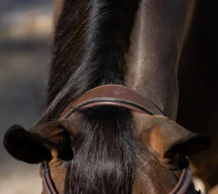 Halter Ego Deauville Anatomical Jumper Bridle -Weaver Leather Store deauville jumper bridle crown halter ego 72644.1687998650