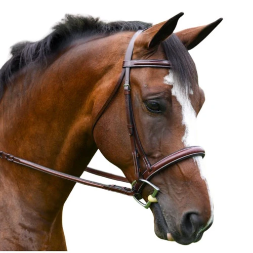KL Italia Del Mar Hunter Bridle 3 KL Italia Del Mar Hunter Bridle