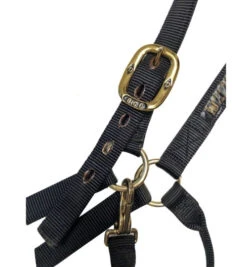 Big D Nylon Draft Halter - Snap + Adjustable Chin -Weaver Leather Store draft halter black hardware big d mtf 63256.1649965248