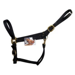 Big D Nylon Draft Halter - Snap + Adjustable Chin -Weaver Leather Store draft halter black side big d mtf 52393.1649965225