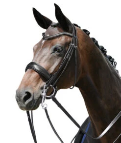 PASSIERBLU Dream Double Bridle -Weaver Leather Store dream double passierblu black horse w 828 passier 31534.1686415411