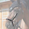In Horse We Trust Drop Noseband -Weaver Leather Store drop noseband black detail DROP NOSEBAND in horse we trust 89434.1658866302