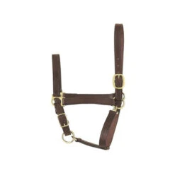Perri's Economy Leather Halter