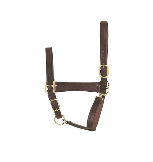 Perri's Economy Leather Halter 3 Perri's Economy Leather Halter
