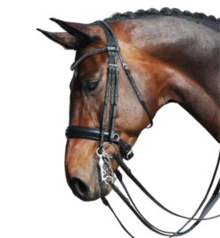 Passier Fortuna Double Bridle -Weaver Leather Store fortuna double bridle grey brow horse2 860 passier 45890.1690319789