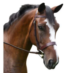 KL Italia Foxwell Hunt Bridle