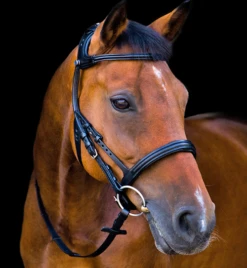Stubben Freedom Bridle -Weaver Leather Store freedom bridle flash black Rside 2125003RFS stubben 63934.1630187773