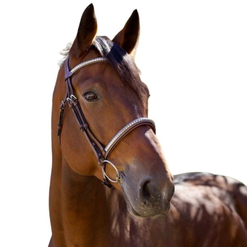 Halter Ego Galway Jumper Bridle 3 Halter Ego Galway Jumper Bridle