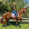 DSB Glossy Patent Dressage Sport Boot 2 DSB Glossy Patent Dressage Sport Boot -Weaver Leather Store glossy navy boots lifestyle dsb 56448.1592335795