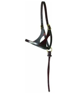Walsh Grow With Me Foal Halter