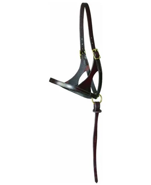 Walsh Grow With Me Foal Halter 3 Walsh Grow With Me Foal Halter