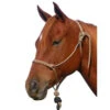 Double Diamond 125 Pliable Rope Halter 2 Double Diamond 125 Pliable Rope Halter -Weaver Leather Store halter 125 left color 309 double diamond 63997.1635012914