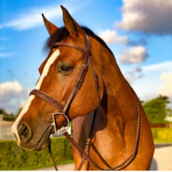 Beval Heritage Wide Fancy Stitch Bridle -Weaver Leather Store heritage wide caveson bridle horse beval 87719.1675118523