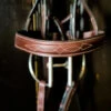 Beval Heritage Wide Fancy Stitch Bridle -Weaver Leather Store heritage wide cavesson bridle noseband beval 09751.1675118334
