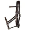 Tucker Horizon Series Halter Bridle -Weaver Leather Store horizon halter bridle brown 0111 1212 tucker 51436.1569281128