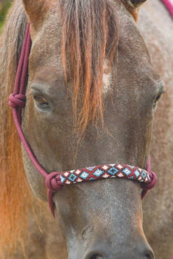 Professional's Choice Beaded Rope Halter & 10 Ft Lead -Weaver Leather Store hrb burgundy beaded rope halter 35430 50908.1527298962