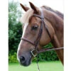 Dy'on Raised Fancy Stitch Hunter Bridle 2 Dy'on Raised Fancy Stitch Hunter Bridle -Weaver Leather Store hunter bridle dyon 50775.1567117481