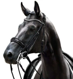 Passier Icarus Rolled Double Bridle 5 Passier Icarus Rolled Double Bridle -Weaver Leather Store icarus double bridle horse 865 passier 47371.1690316499