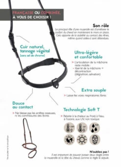 In Horse We Trust Flash Noseband With Crown 10 In Horse We Trust Flash Noseband With Crown -Weaver Leather Store in horse we trust flash nose graphic 53912.1541187077