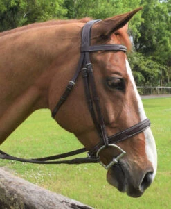 Red Barn Indio Hunter Bridle 9 Red Barn Indio Hunter Bridle -Weaver Leather Store indio bridle chestnut horse 512402 red barn 01685.1684372478