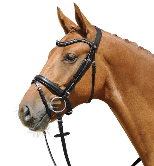 Passier Juno Snaffle Bridle 3 Passier Juno Snaffle Bridle